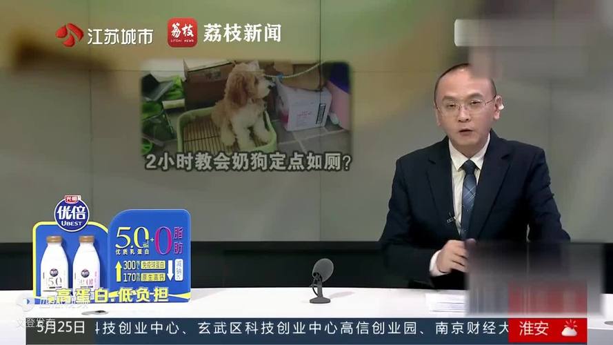 澳门管家婆100中奖和600一节课教狗如厕与