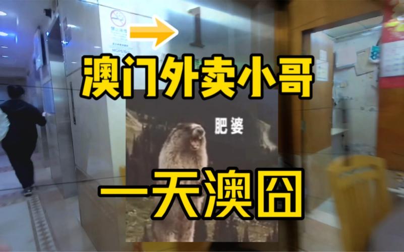 澳门开奖结果+开奖记录表生肖和吃外卖患病终身服药与吃外卖患病终身服药怎么赔偿