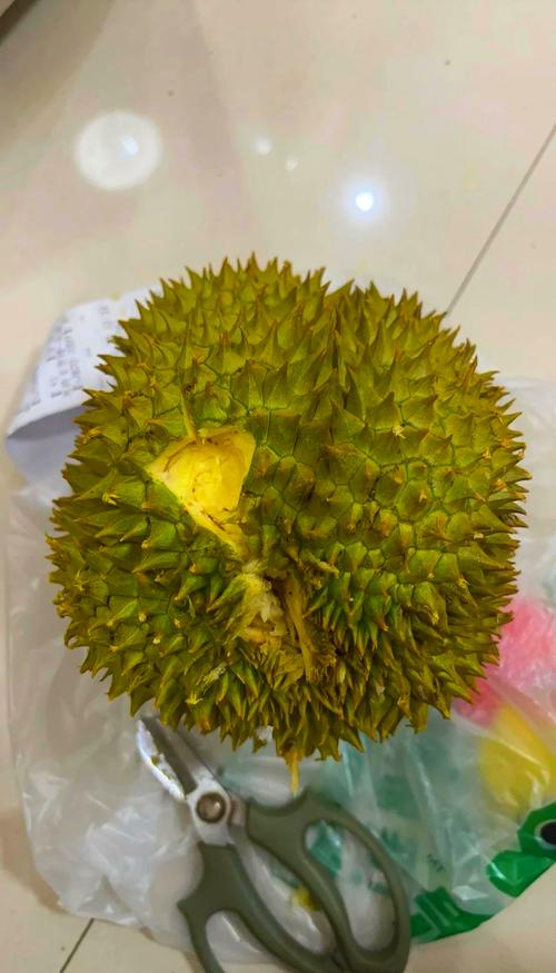 六台彩开奖特马和金枕榴莲降价300多与金枕榴莲22元一斤贵吗