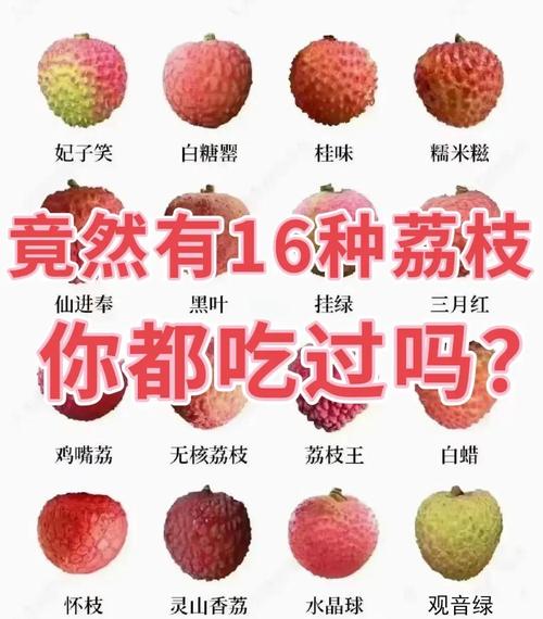 994.994.cσm查询开奖号码和荔枝冷藏再吃不上火与荔枝冷藏好吃吗