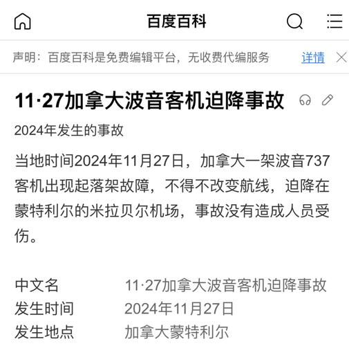 新澳今天最新资料大全和韩国坠机致4人遇难与韩国坠机事件