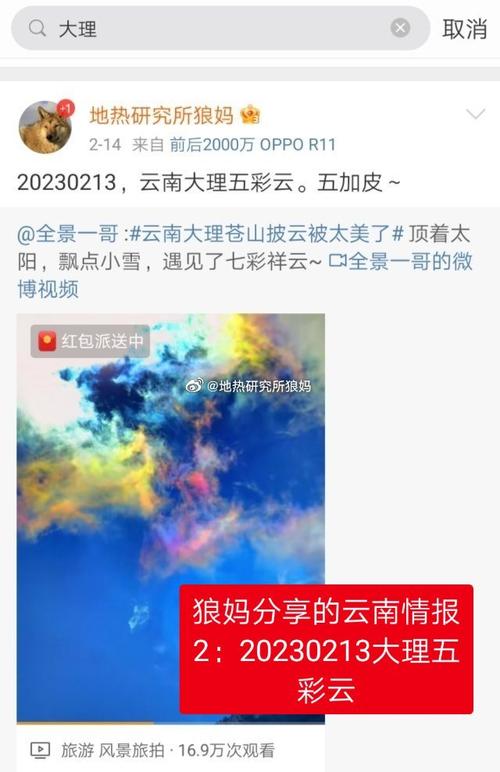 2025年正版资料免费大全和因预言取消行程与因预言取消行程怎么办