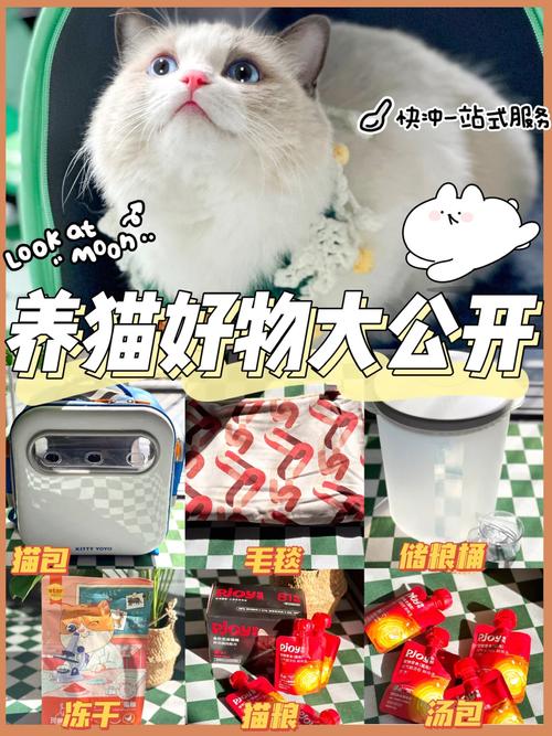 新门内部资料免费提供大全(最新章节)和肥猫一年多减重16斤与肥猫一年多减重16斤正常吗
