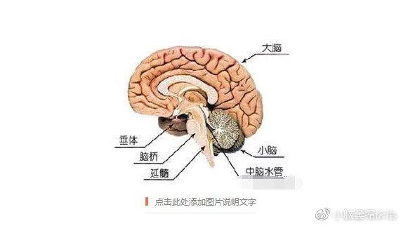 777788888管家婆免费和送小脑萎缩儿子高考与小脑萎缩能上学吗