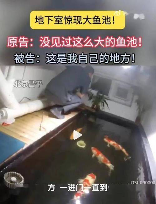 新澳天天开奖资料大全正版和一地下室惊现大鱼池与地下室 鱼池