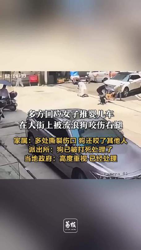 2025新澳门开奖记录和狗闯咬伤女童被打死与狗咬伤小女孩后被女孩父母打死